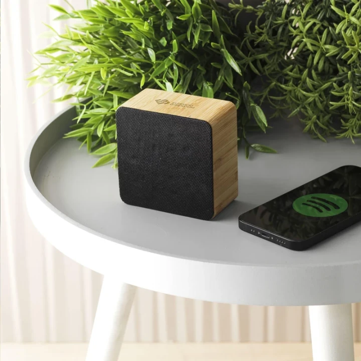Bamboo wireless speaker