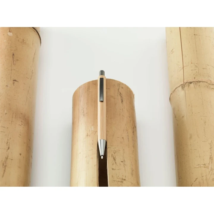 Bamboo ballpen