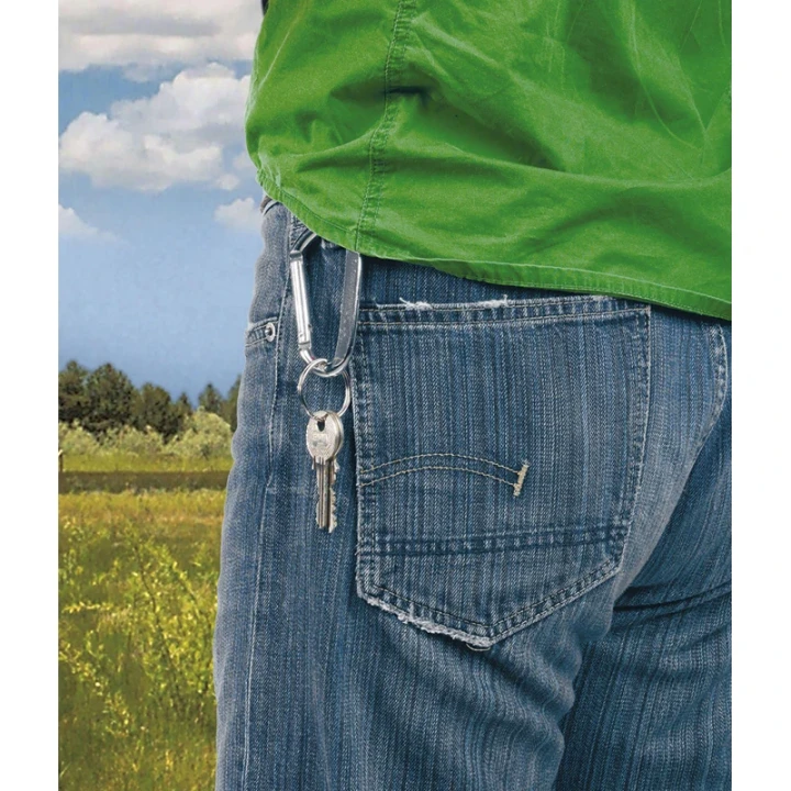 Carabiner Keyring