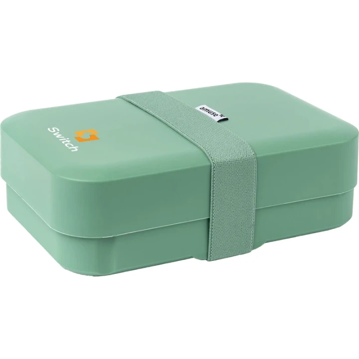 Amuse classic lunch box large