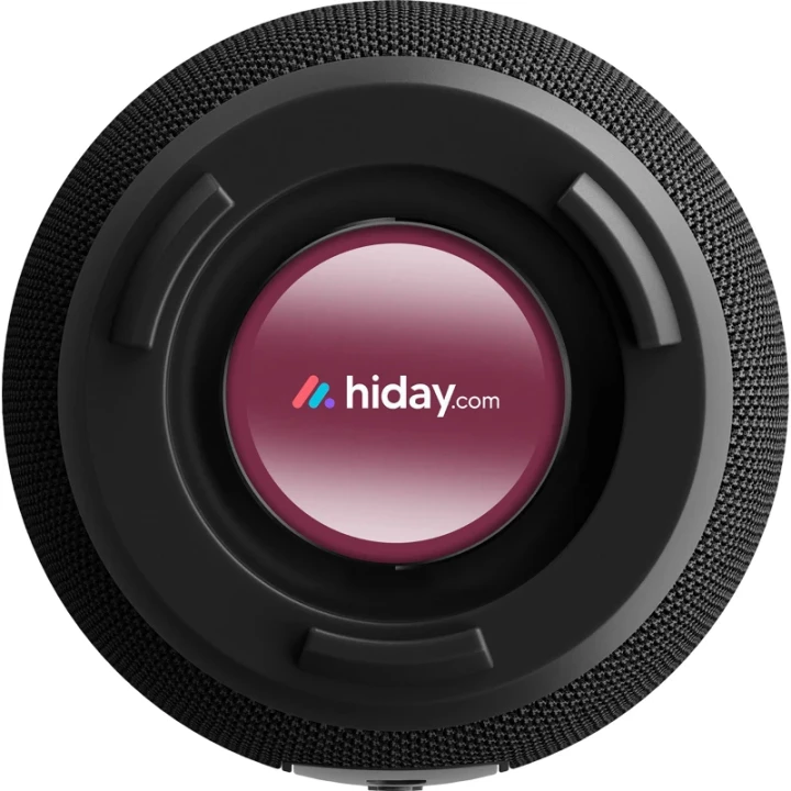 Sudio wireless speaker pro 