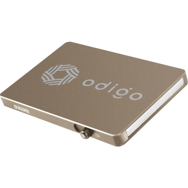 Valenta card protector