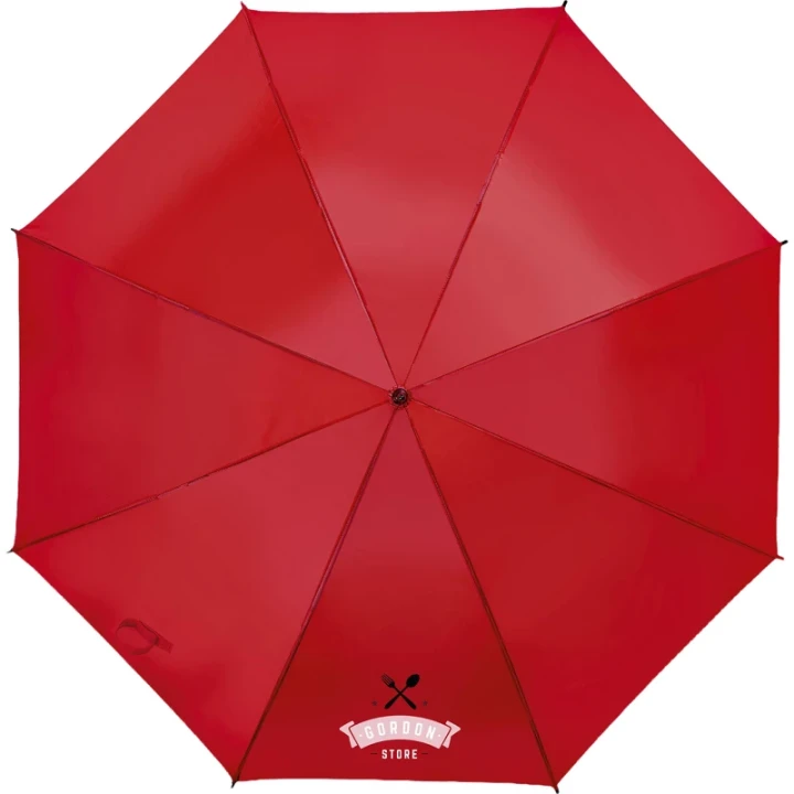 Automatic umbrella