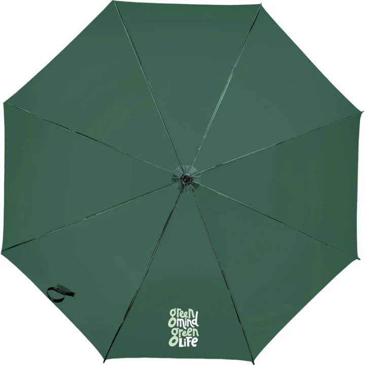 Automatic umbrella