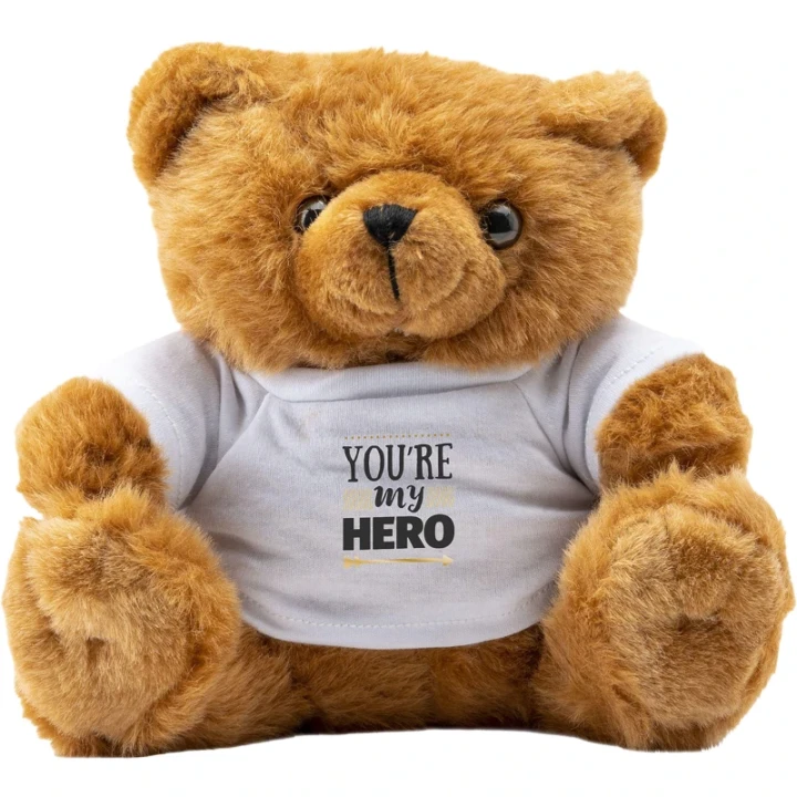 Big Browny bear soft toy