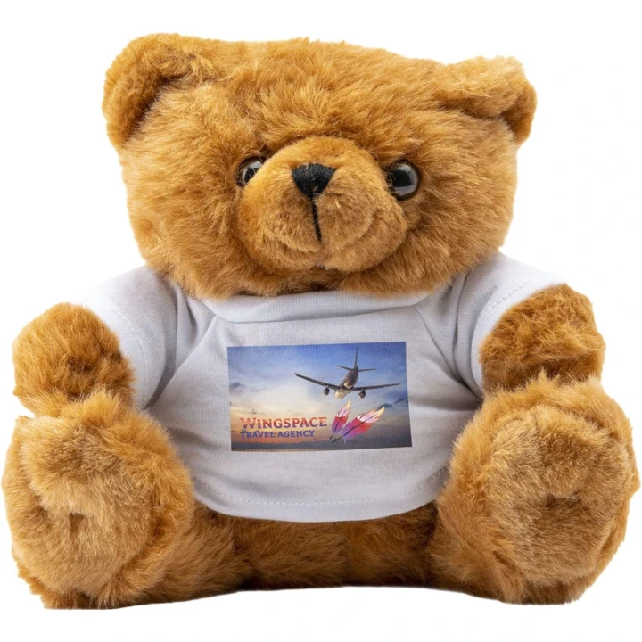Big Browny bear soft toy