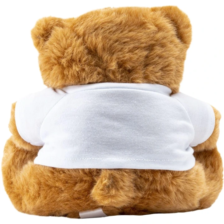 Big Browny bear soft toy