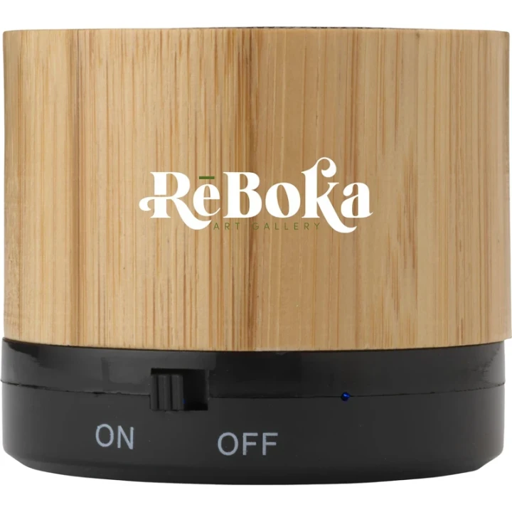 Bamboo speaker