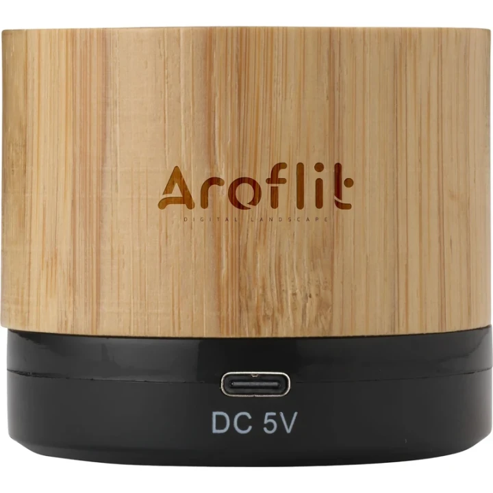 Bamboo speaker