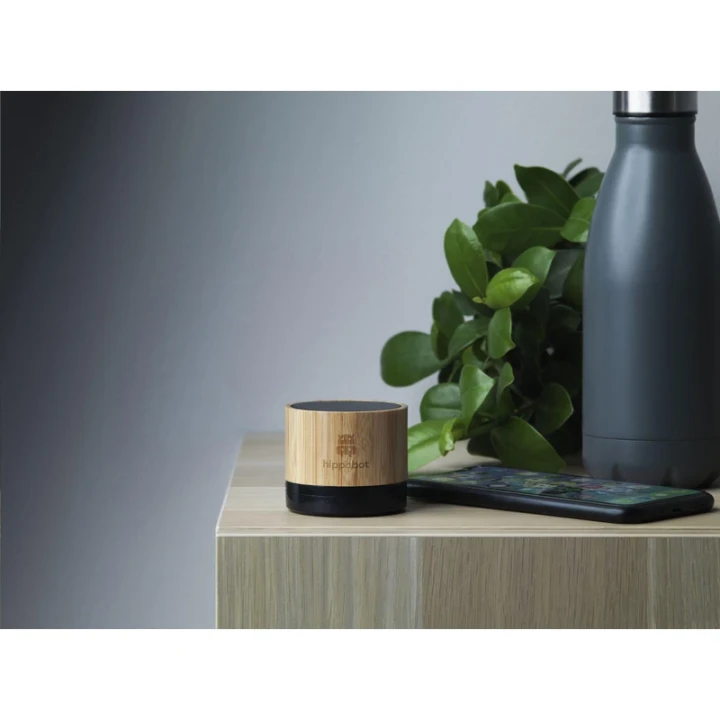 Bamboo speaker