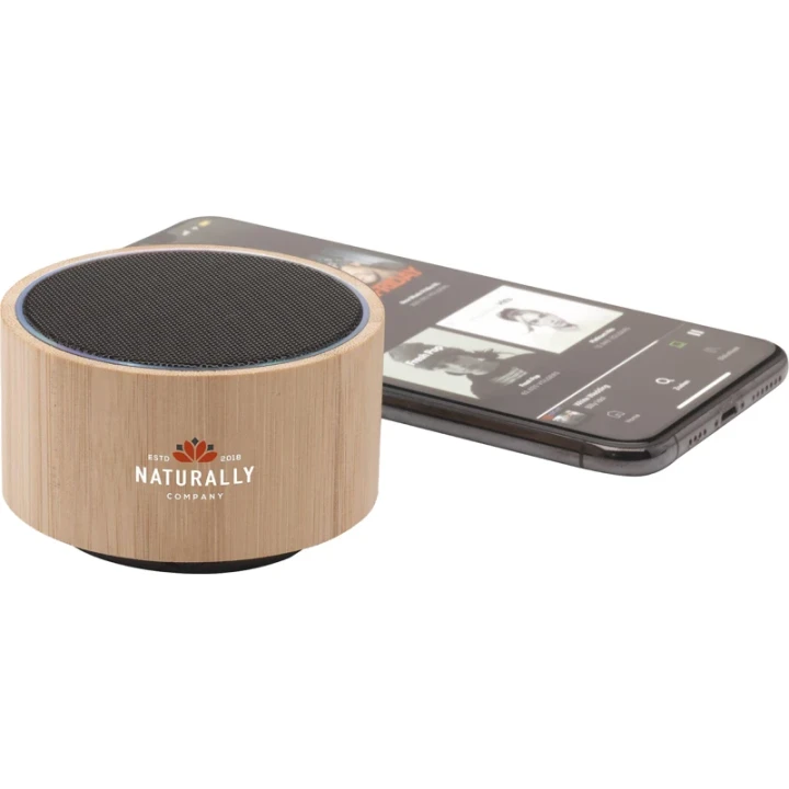 Bamboo wireless speaker