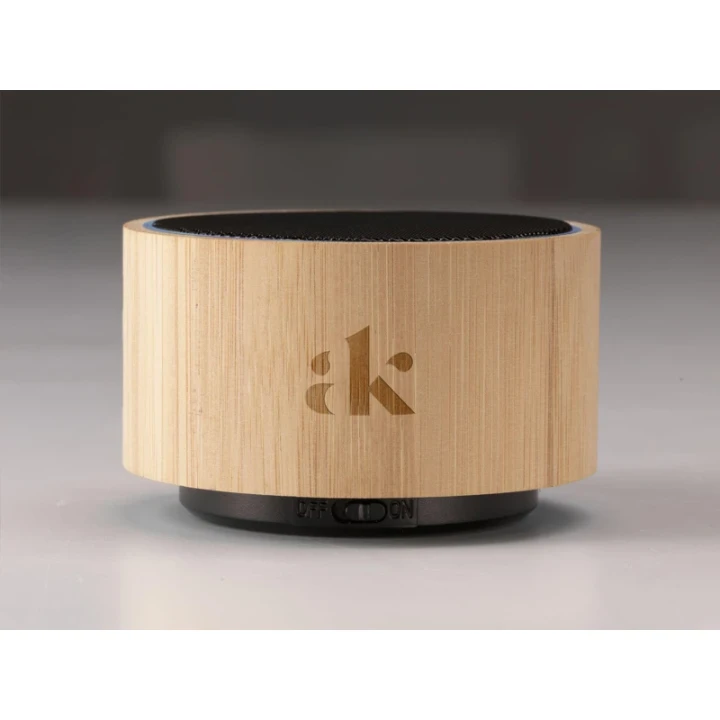 Bamboo wireless speaker