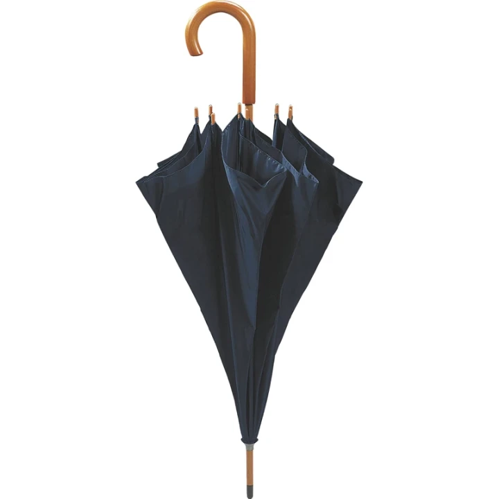 Walking Umbrella