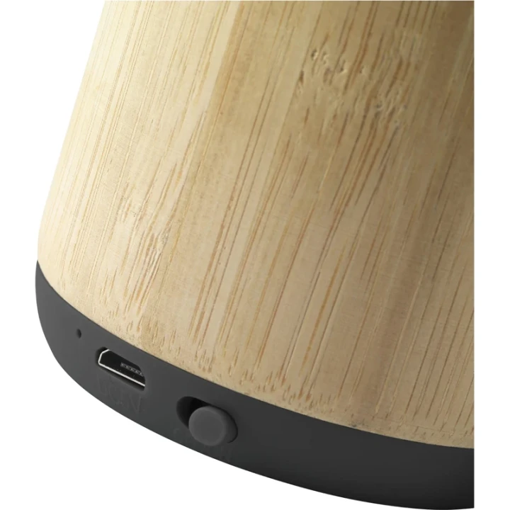 Bamboo wireless speaker