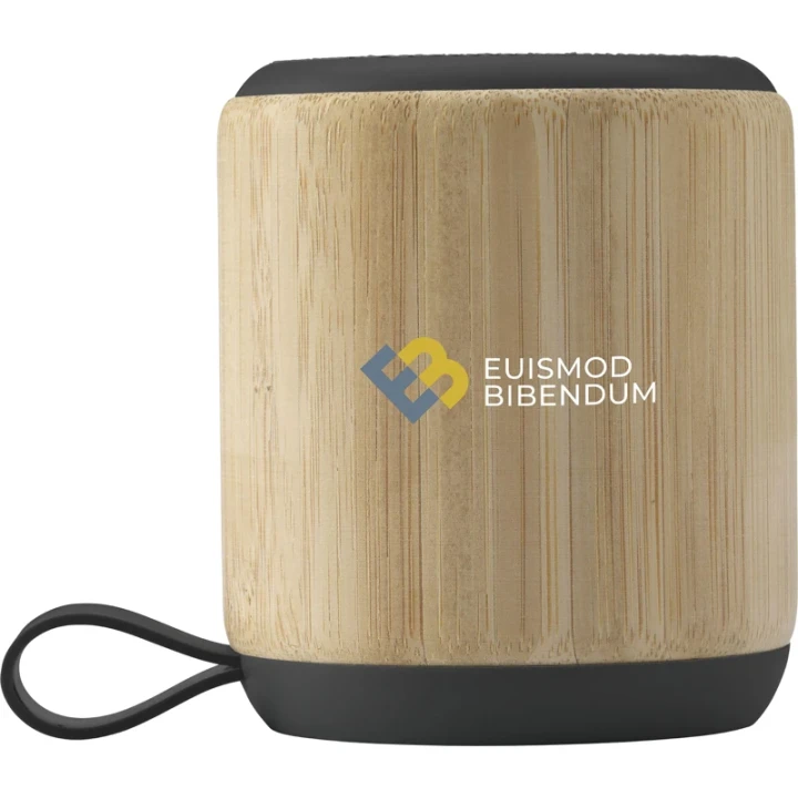 Bamboo wireless speaker