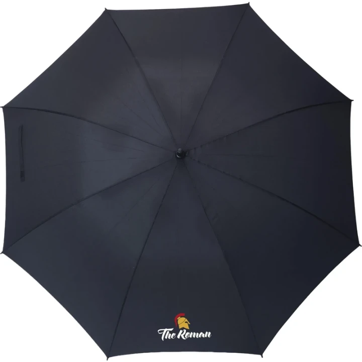 Automatic Umbrella
