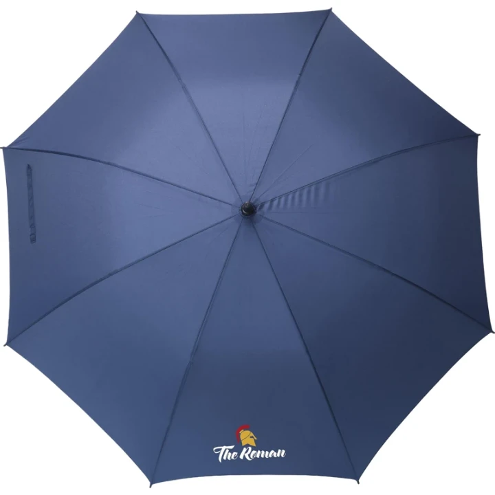 Automatic Umbrella