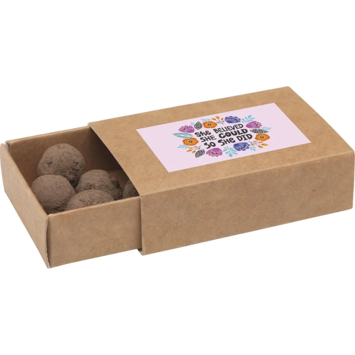Seed Balls mini-eco system