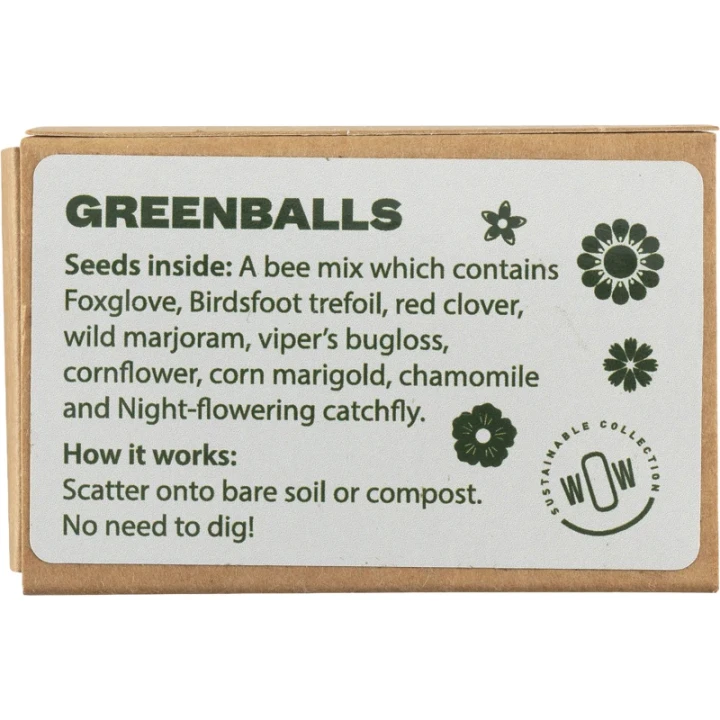 Seed Balls mini-eco system