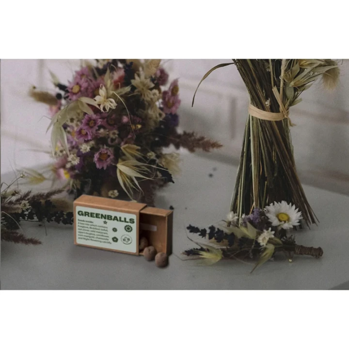 Seed Balls mini-eco system