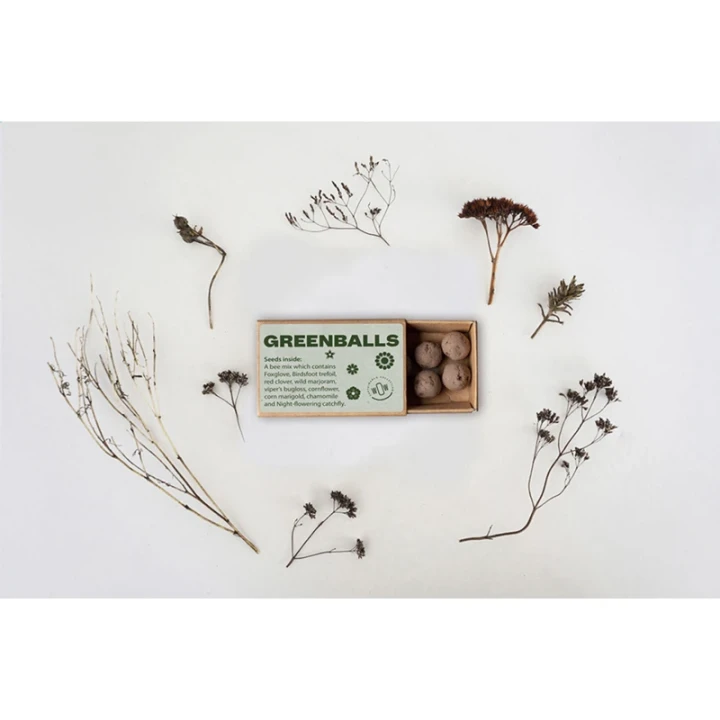 Seed Balls mini-eco system