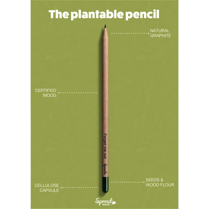 Sproutworld sharpened pencil