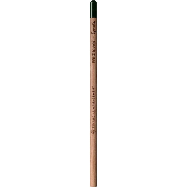 Sproutworld unsharpened pencil