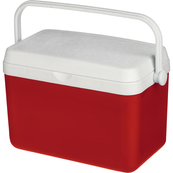 Sunkissed Cooler Box 4L