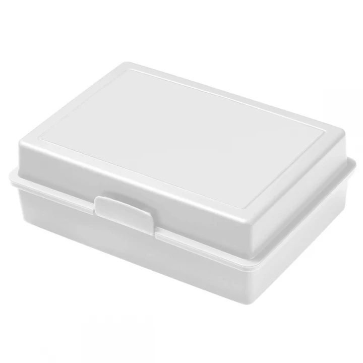 Picnic Lunch Box 