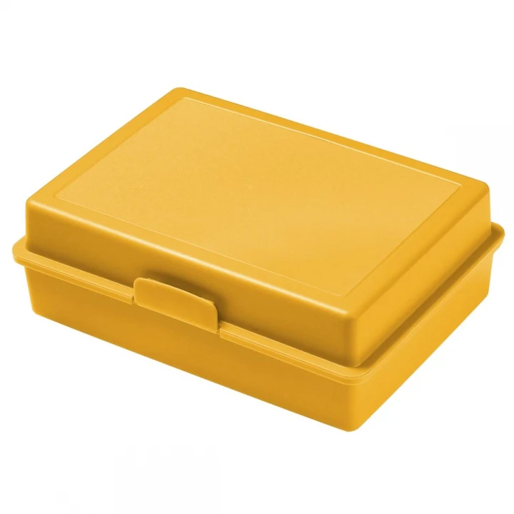 Picnic Lunch Box 