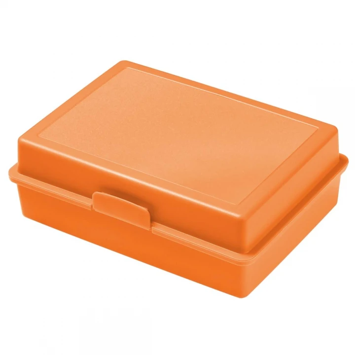 Picnic Lunch Box 