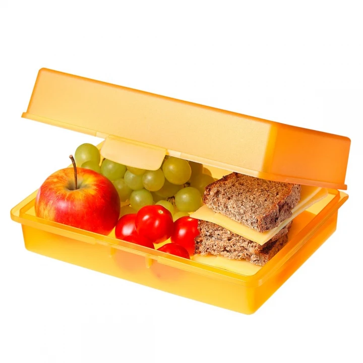 Picnic Lunch Box 
