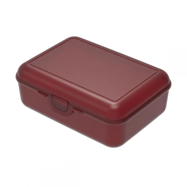 School Lunch Box Deluxe Without Separating Sleeve