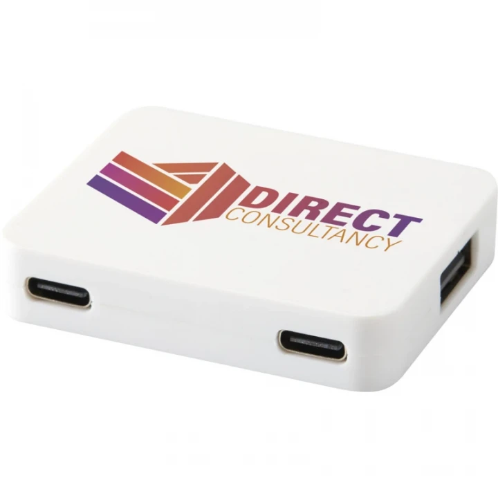 Gaia 4-Port USB Hub With USB-A And Type-C Output Dual Input 