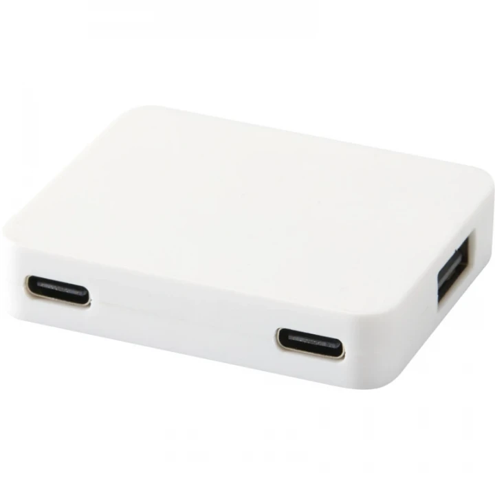 Gaia 4-Port USB Hub With USB-A And Type-C Output Dual Input 
