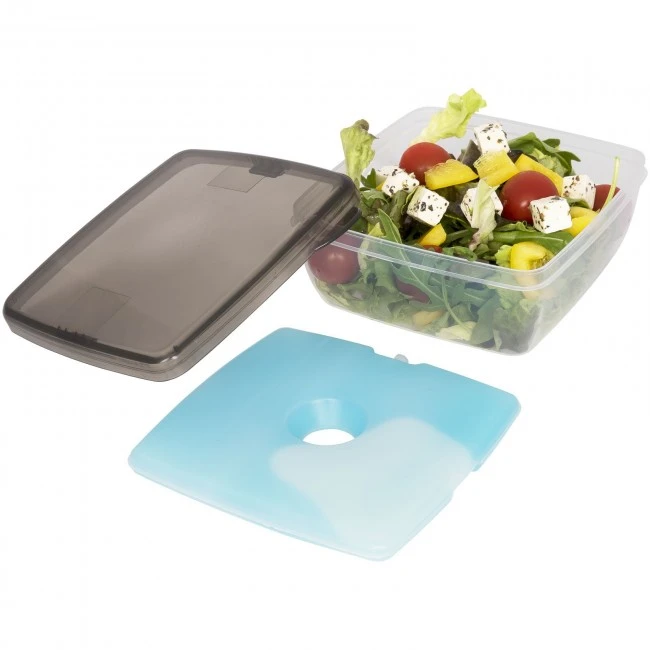 Glace lunch box with ice pad