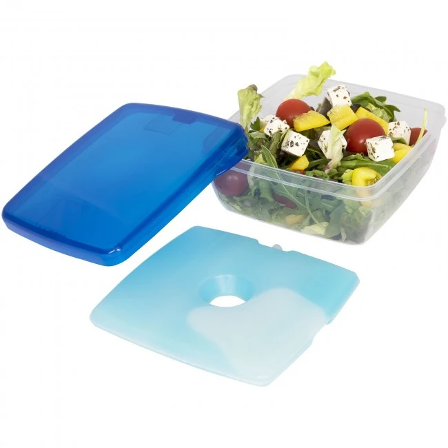 Glace lunch box with ice pad