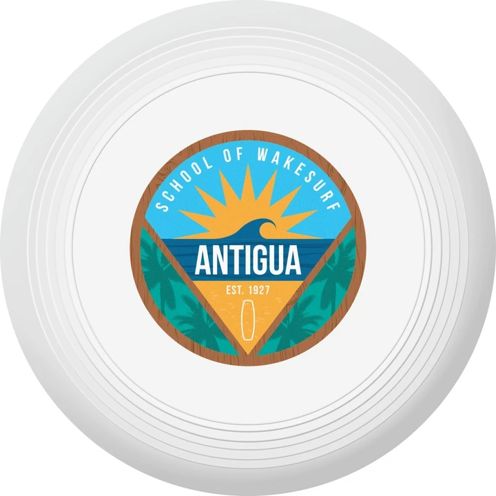 Small Recycled Frisbee