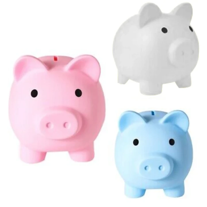 Premium Piggy Bank