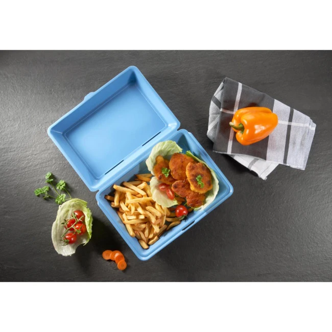 Meal Box ToGo XL Without Dividers