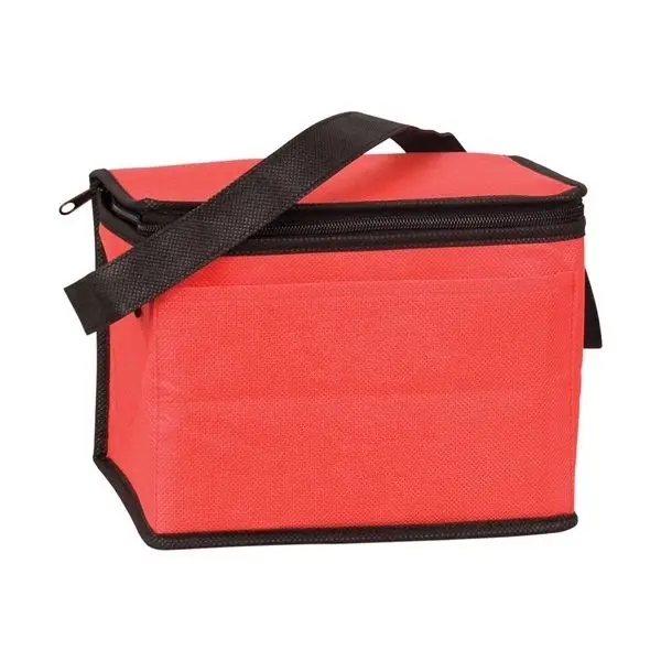 6 Pack Non Woven Cooler Bag