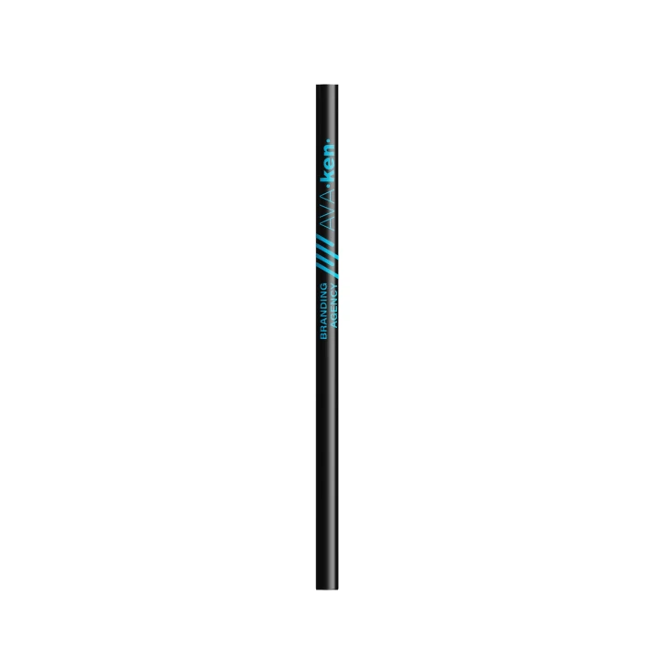 BIC Evolution Basalt Cut End Pencil