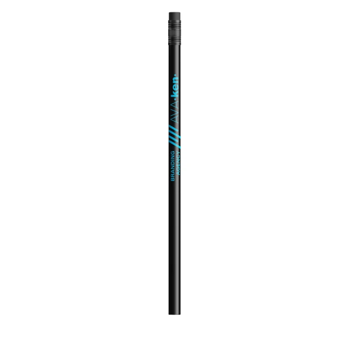 BIC Evolution Basalt Eraser Pencil