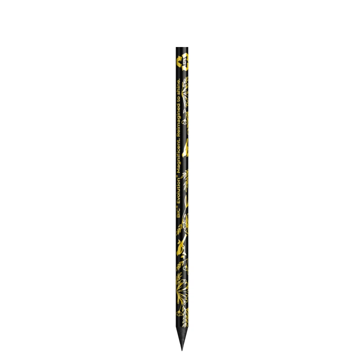 BIC Evolution Magnificent Basalt Cut End Pencil
