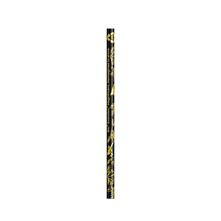 BIC Evolution Magnificent Basalt Cut End Pencil