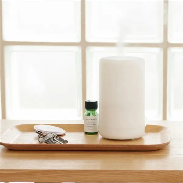 Plastic Aroma Diffuser Aromatherapy Air Fresh Humidifier