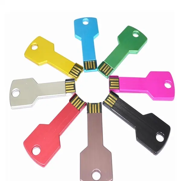 Key Shape USB Flash Drive