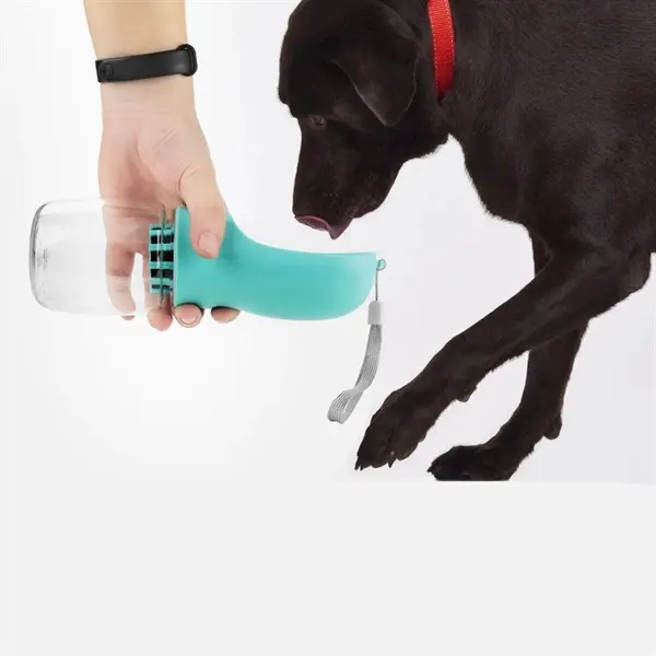 19oz portable pet companion cup