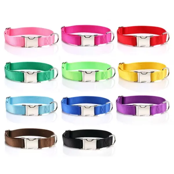 Premium Nylon Dog Collar with Metal Buckle