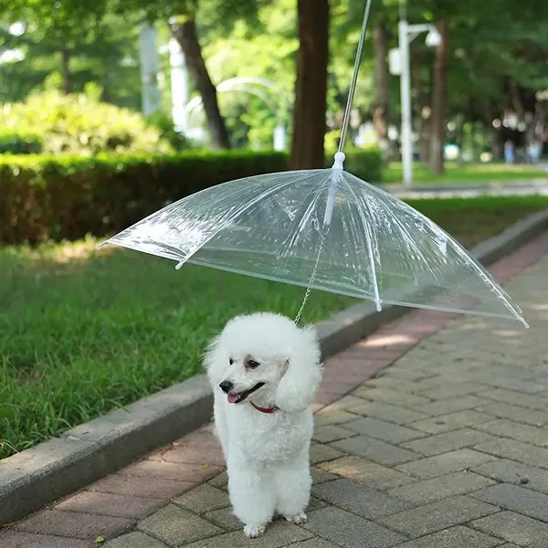 Pet Dog Umbrella with Leash